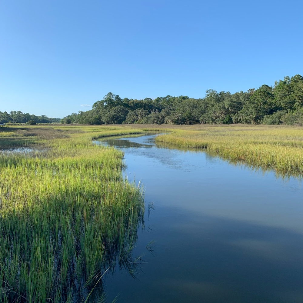Meet your Posher, Carly